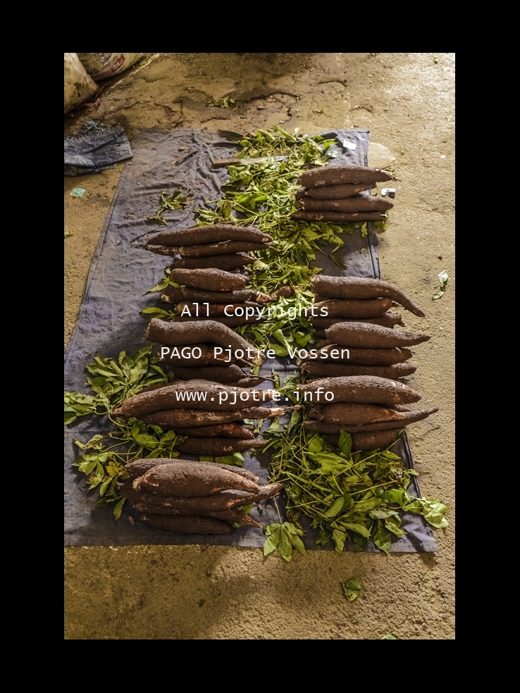 PAGOPIC20141116030015306c.JPG