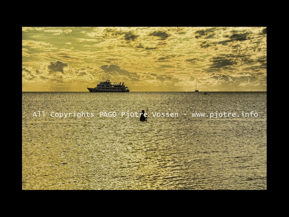 PAGOPIC20141116101015436a.JPG